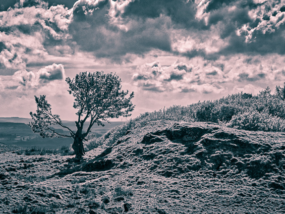 DSC 6952 AuroraHDR2018-edit