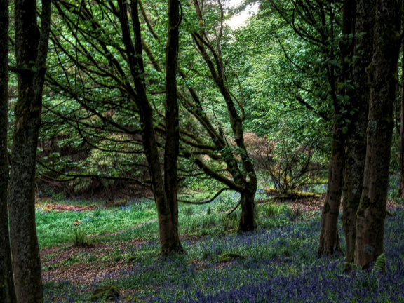 DSC 7372 AuroraHDR2018-edit