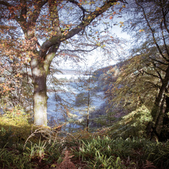 DSC 8190 AuroraHDR2018-edit