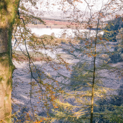 DSC 8193 AuroraHDR2018-edit