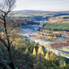 DSC 8202 AuroraHDR2018-edit