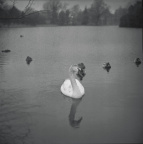 swan song